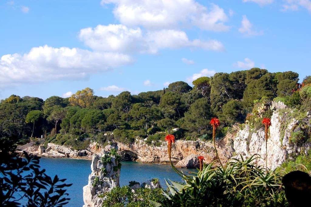 Ravissant Studio Au Coeur Du Vieil Antibes Exterior photo